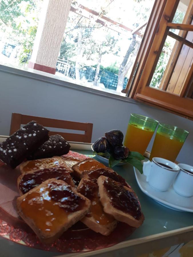 פולסנו B&B Villa Grazia מראה חיצוני תמונה